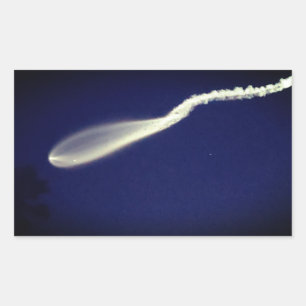 Rocket Jellyfish Rechteckiger Aufkleber