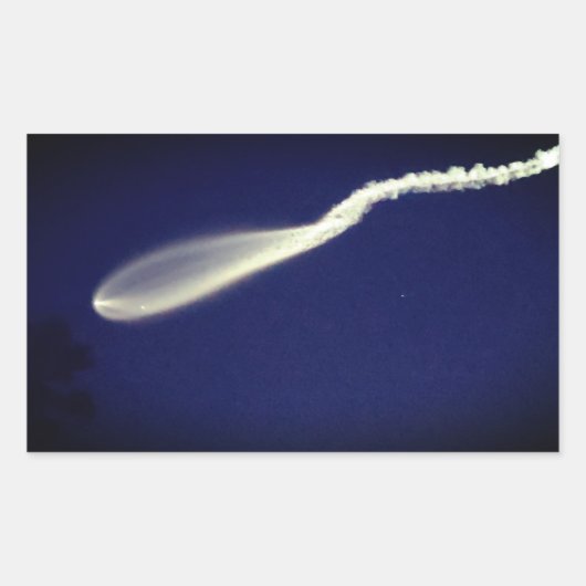 Rocket Jellyfish Rechteckiger Aufkleber (Vorderseite)