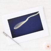 Rocket Jellyfish Rechteckiger Aufkleber (Umschlag)