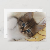 Rocket Postkarte (Vorne/Hinten)