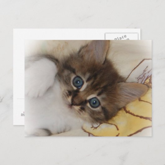 Rocket Postkarte (Vorne/Hinten)