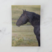 Rocket's Family Greeting Card Einladung (Innenseite)