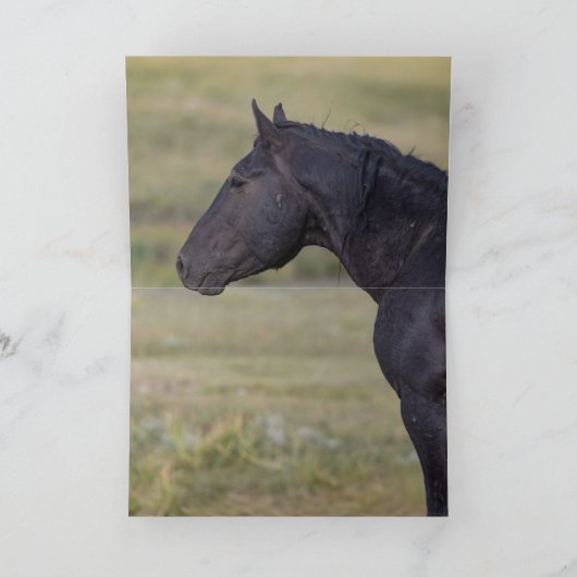 Rocket's Family Greeting Card Einladung (Innenseite)