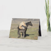 Rocket's Family Greeting Card Einladung (Vorderseite)