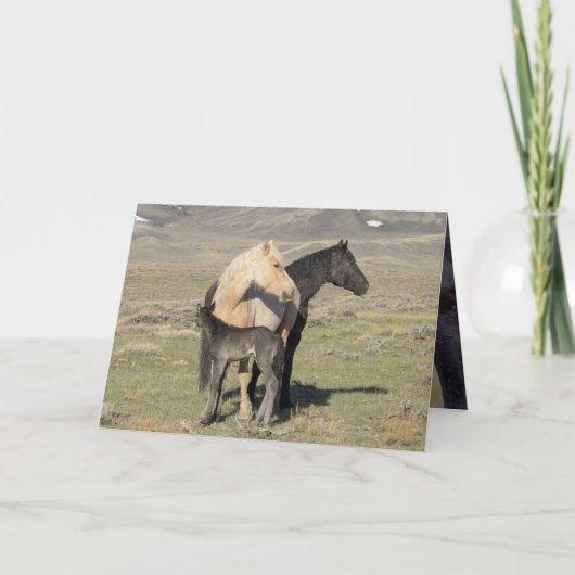 Rocket's Family Greeting Card Einladung (Vorderseite)