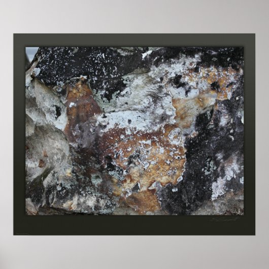 Rockface 59 Canvas Print -24x20 -kleiner erhältlic Poster (Vorne)