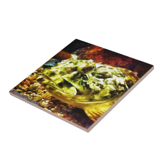 Rockfisch Fliese (Seite)