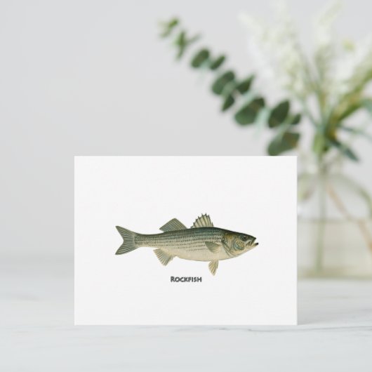 Rockfish-Logo Postkarte (Stehend Vorderseite)