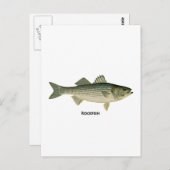 Rockfish-Logo Postkarte (Vorne/Hinten)