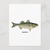 Rockfish-Logo Postkarte (Vorderseite)