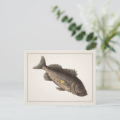 Rockfish Postkarte - Stil I (Stehend Vorderseite)