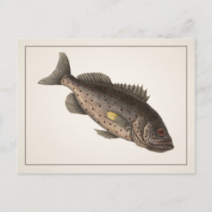 Rockfish Postkarte - Stil I