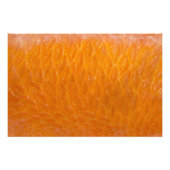 Rockfish Skin Fotodruck (Vorne)