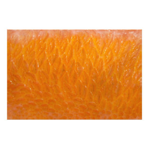 Rockfish Skin Fotodruck
