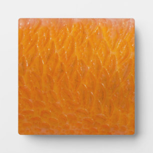 Rockfish Skin Fotoplatte