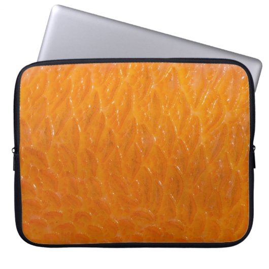 Rockfish Skin Laptopschutzhülle (Vorderseite)