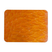 Rockfish Skin Magnet (Horizontal)