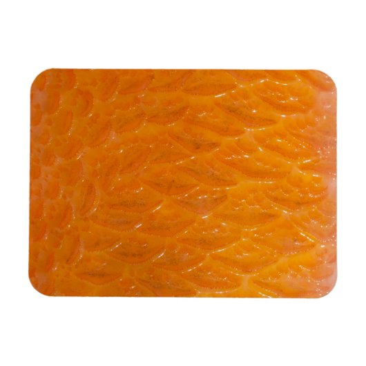 Rockfish Skin Magnet (Horizontal)
