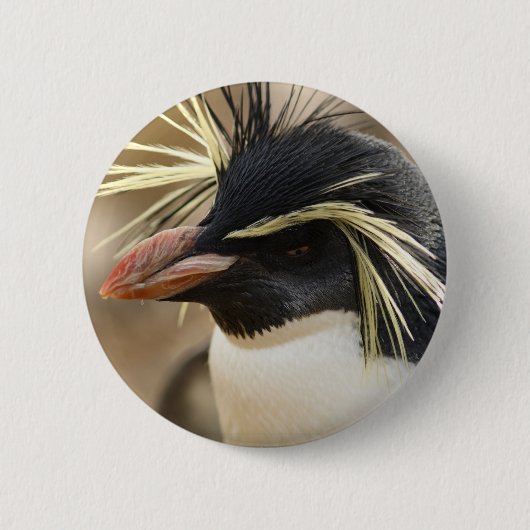 Rockhopper Penguin-Button Button (Vorderseite)