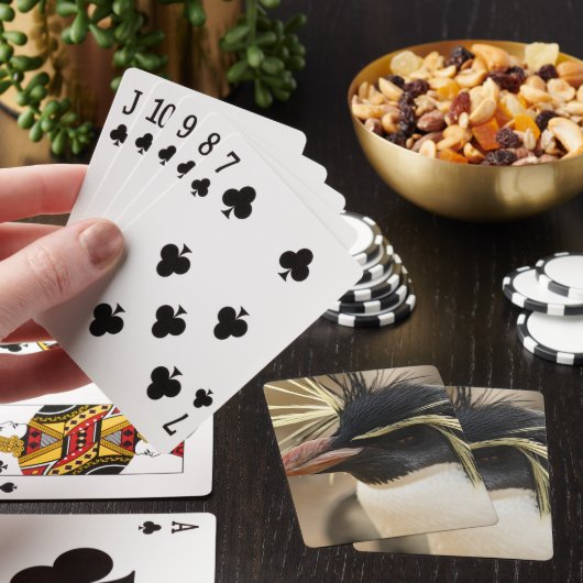 Rockhopper Penguin Deck of Cards Spielkarten (In Situ)