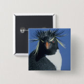 Rockhopper Penguin (Eudyptes chrysocome) Button (Vorne & Hinten)