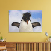 Rockhopper Penguin Eudyptes chrysocome Leinwanddruck (Insitu (Wohnzimmer))