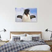 Rockhopper Penguin Eudyptes chrysocome Leinwanddruck (Insitu (Schlafzimmer))