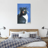 Rockhopper Penguin (Eudyptes chrysocome) Leinwanddruck (Insitu (Schlafzimmer))