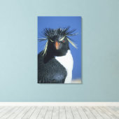 Rockhopper Penguin (Eudyptes chrysocome) Leinwanddruck (Insitu (Holzboden))