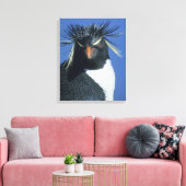 Rockhopper Penguin (Eudyptes chrysocome) Leinwanddruck (Insitu (Wohnzimmer))