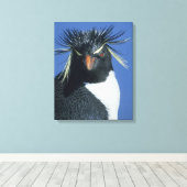 Rockhopper Penguin (Eudyptes chrysocome) Leinwanddruck (Insitu (Holzboden))