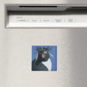 Rockhopper Penguin (Eudyptes chrysocome) Magnet (In Situ (Geschirrspüler))