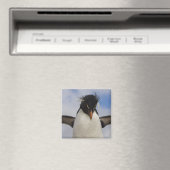 Rockhopper Penguin Eudyptes chrysocome Magnet (In Situ (Geschirrspüler))