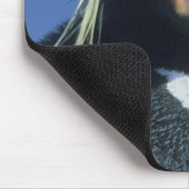 Rockhopper Penguin (Eudyptes chrysocome) Mousepad (Ecke)