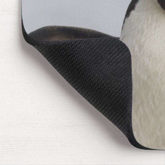 Rockhopper Penguin Eudyptes chrysocome Mousepad (Ecke)