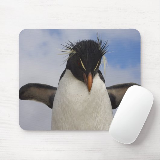 Rockhopper Penguin Eudyptes chrysocome Mousepad (Mit Mouse)