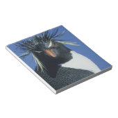 Rockhopper Penguin (Eudyptes chrysocome) Notizblock (angewinkelt)