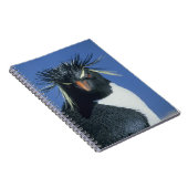 Rockhopper Penguin (Eudyptes chrysocome) Notizblock (Rechte Seite)