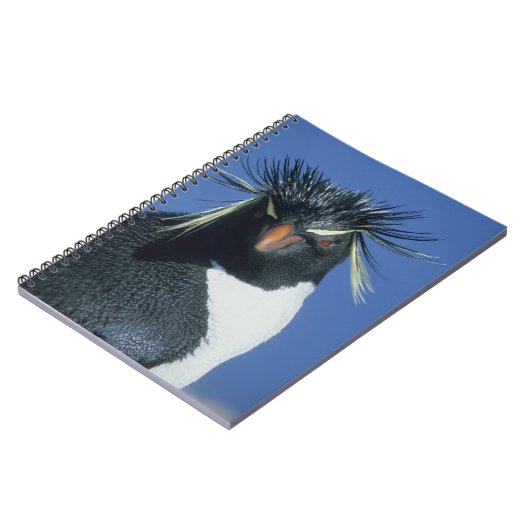 Rockhopper Penguin (Eudyptes chrysocome) Notizblock (Linke Seite)