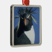 Rockhopper Penguin (Eudyptes chrysocome) Ornament Aus Metall (Rechts)