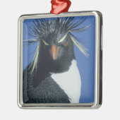Rockhopper Penguin (Eudyptes chrysocome) Ornament Aus Metall (Links)