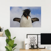 Rockhopper Penguin Eudyptes chrysocome Poster (Heimbüro)