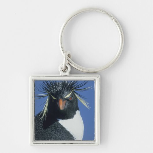 Rockhopper Penguin (Eudyptes chrysocome) Schlüsselanhänger (Vorne)