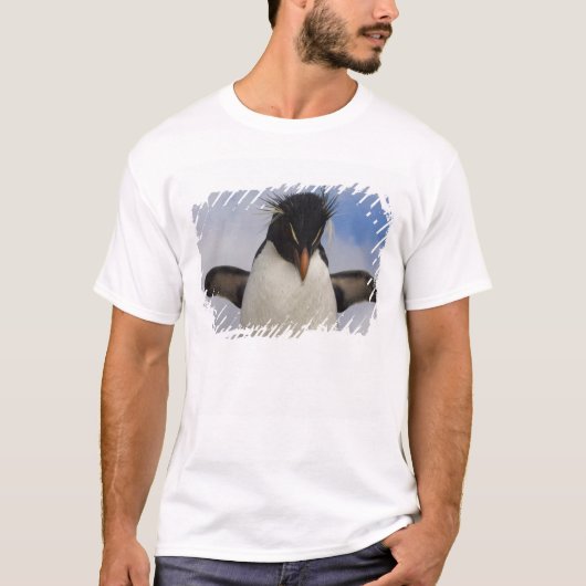 Rockhopper Penguin Eudyptes chrysocome T-Shirt (Vorderseite)