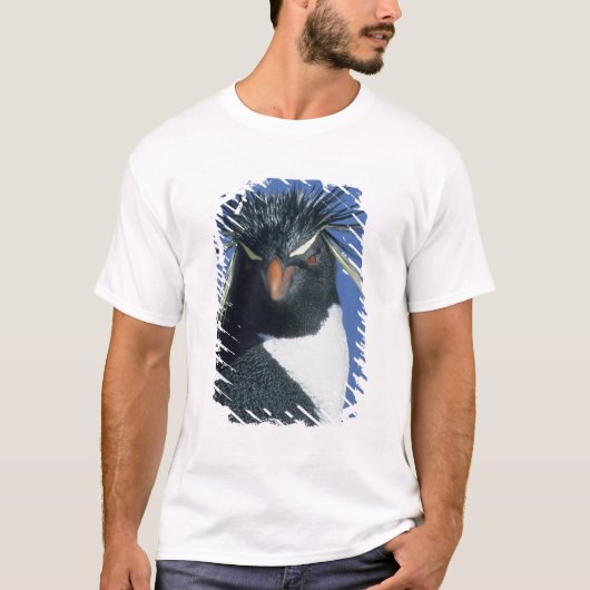 Rockhopper Penguin (Eudyptes chrysocome) T-Shirt (Vorderseite)