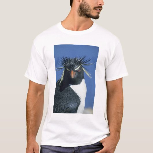 Rockhopper Penguin (Eudyptes chrysocome) T-Shirt (Vorderseite)