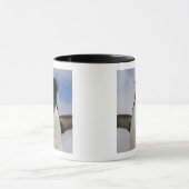 Rockhopper Penguin Eudyptes chrysocome Tasse (Zentrum)