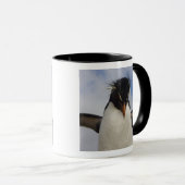 Rockhopper Penguin Eudyptes chrysocome Tasse (VorderseiteRechts)