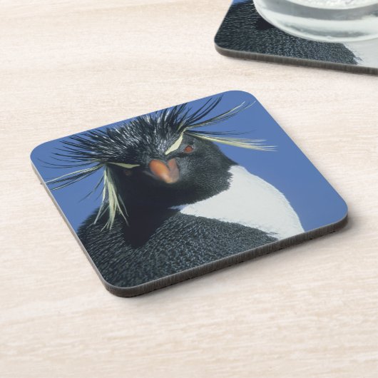 Rockhopper Penguin (Eudyptes chrysocome) Untersetzer (Linke Seite)