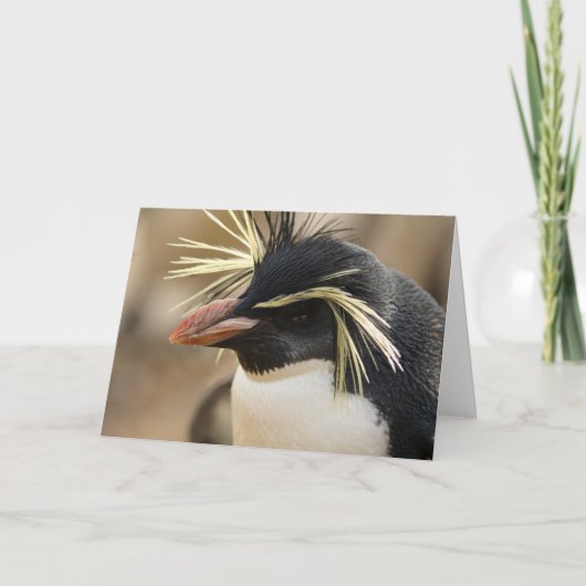 Rockhopper Penguin  Greeting Card Karte (Vorderseite)